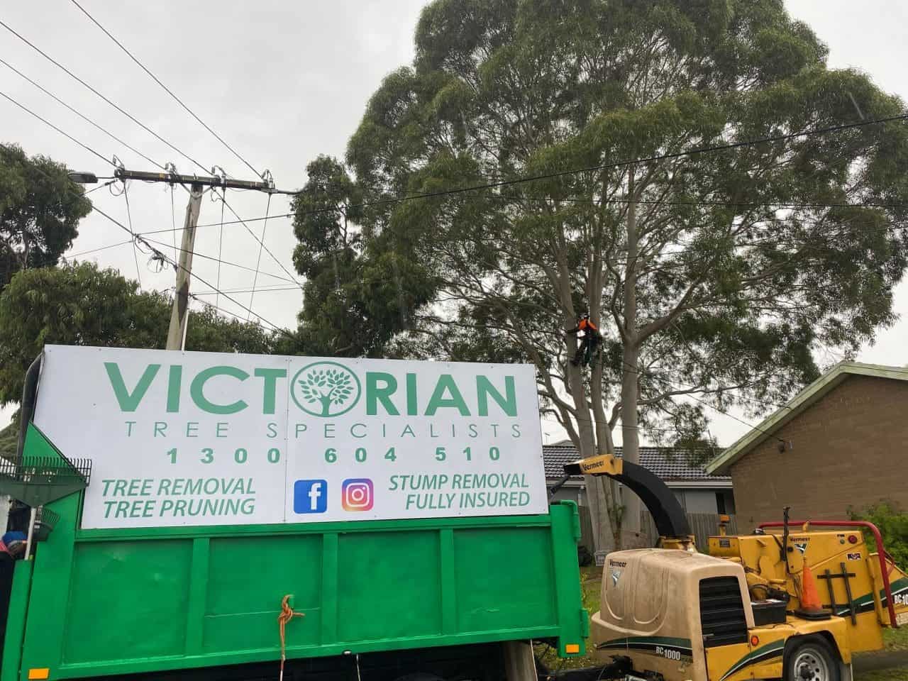 Tree Service Melbourne | Best Tree Removal Service Melbourne