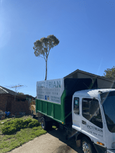 Tree Removal Bacchus Marsch