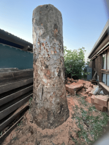 Tree Removal Bacchus Marsch