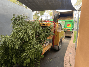 Tree Mulching Blackburn