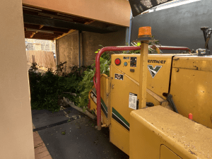 Tree Removal Blackburn