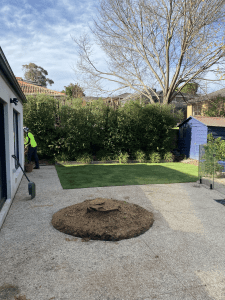 Tree Removal Doncaster East