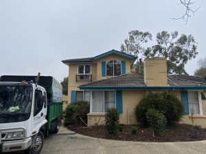 Gum Tree Removal Mount Waverley