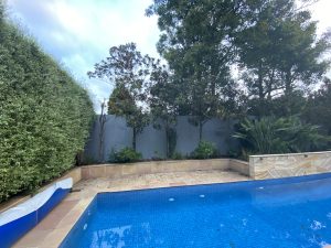 Tree Pruning and Tree Removal Glen Iris