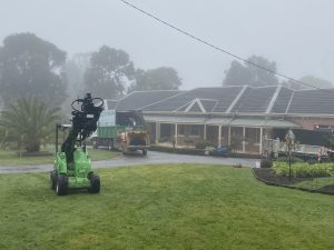 Tree Pruning and Trimming Donvale