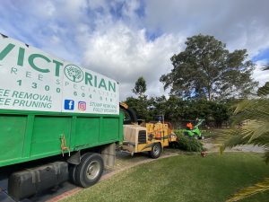 Tree Pruning and Trimming Donvale