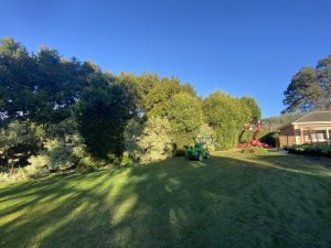 Tree Mulching Donvale