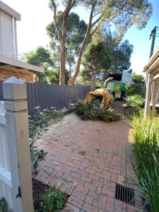 Tree Mulching Glen Iris