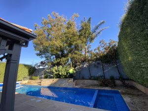 Tree Pruning and Tree Removal Glen Iris