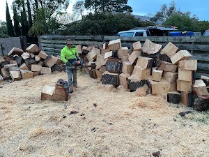 Victorian Tree Specialists place picture