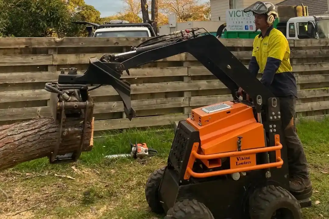 Tree Removal Donvale 3 Tree Removal Donvale