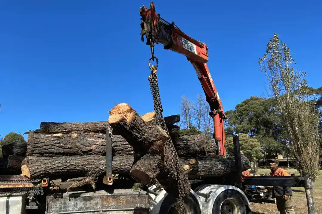 Tree Removal Toorak